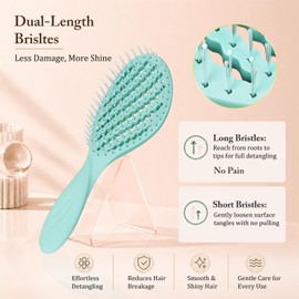 Elfirly Hairbrush 2-Pack, Curved Vented Detangler Brushes for Fine Hair, Long & Short Soft Bristles for Wet or Dry Hair, Ideal for Sensitive Scalps, Pain-Free Detangling of Knots for Women & Kids