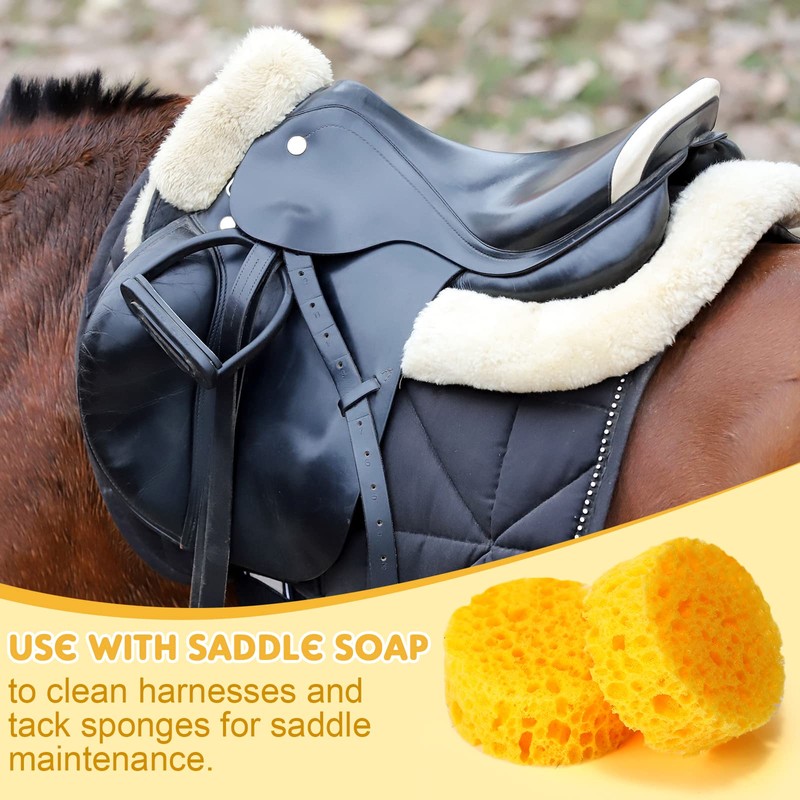 30 Pcs Tack Cleaning Sponges Horse Saddle Sponge Tack Sponges