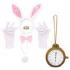 Adults Bunny Costume Accessory Set - White & Pink Rabbit