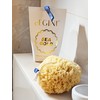 Aegini® Sea Gold XL Natural Sea Sponge, String Attachment, Premium