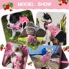 Cat Harness with Escape Proof - Fashionable Mesh Cat Dog