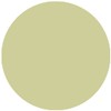 alessandro Hybrid Varnish Rococo Garden Wild Ivy - In Just
