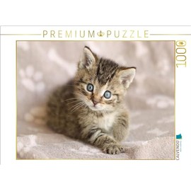 CALVENDO Puzzle Magical | 1000 Pieces Size 25" x 19"