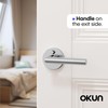 Okun Stark 1-Pack Chrome Privacy Door Levers – Push Button
