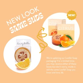 Honey Belle Natural Loofah Soap Bar 2 Pack | Brightening Skin Scrub Exfoliating Soap with Loofah Inside | Eco-Friendly, Moisturizing, All Natural Soap with Loofah Built In Paraben-Free (Citrus)