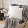 Oubonun 28 x 28 Euro Pillow Inserts with 100% Cotton