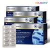 홀리데이즈 100억 유산균 60캡슐 4박스 (8개월분) Holidays 10 Billion Probiotics