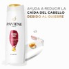 Pantene Shampoo, Para Cualquier Tipo De Cabello Pantene Control Caída