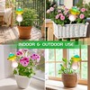 11 oz Large Plant Watering Globes, Glass Self Watering Globes,