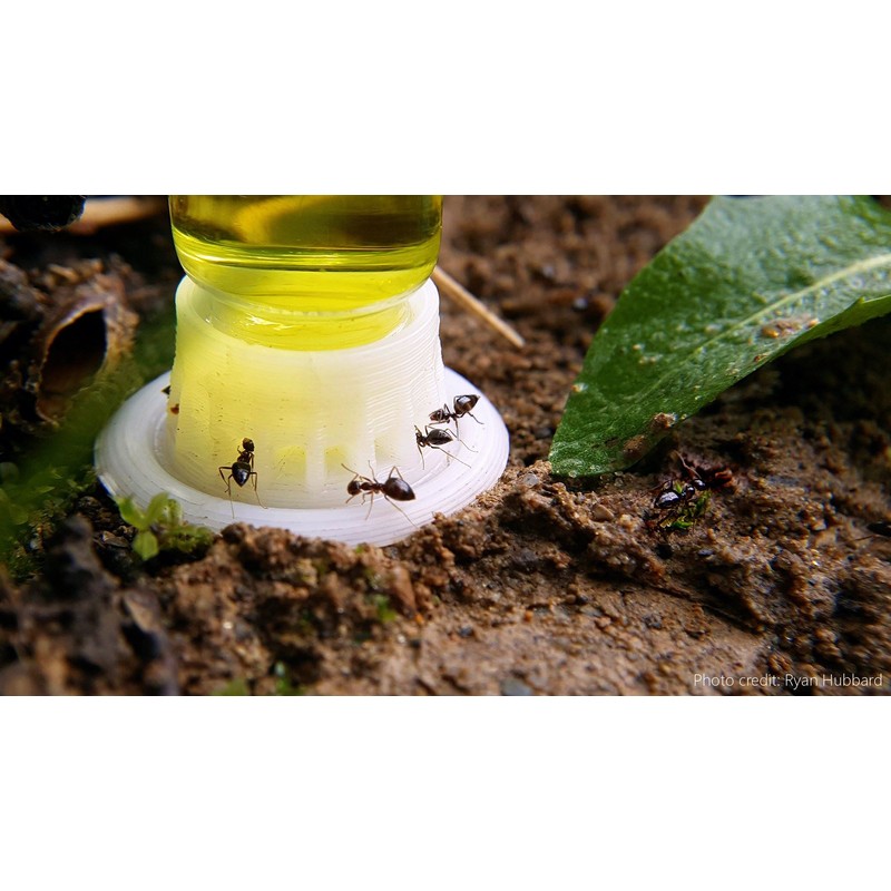 byFormica Liquid Feeder Mega - 10 mL, Set of 2