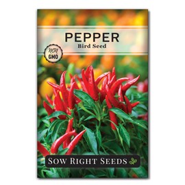Sow Right Seeds - Bird Seed Pepper Seed for Planting - Non-GMO Heirloom Packet with Instructions to Plant a Home Vegetable Garden - Grow Thai Variety for Hot and Delicious Flavor