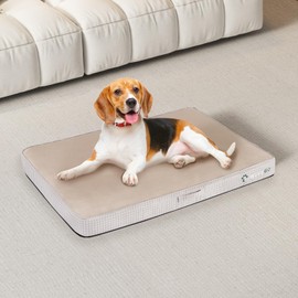 WEVEGO Large Dog Bed, Orthopedic Dog Bed with Thick Gel Memory Foam Support, Durable Flannel Fabric with Removable Cover & Waterproof Liner Dog Beds