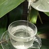 Kumasasa Tea 2.5 oz (70 g) (Postal Compatible Sizes) Kumasasa