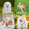 shernbao High Velocity Professional Dog Pet Grooming Hair Drying Force