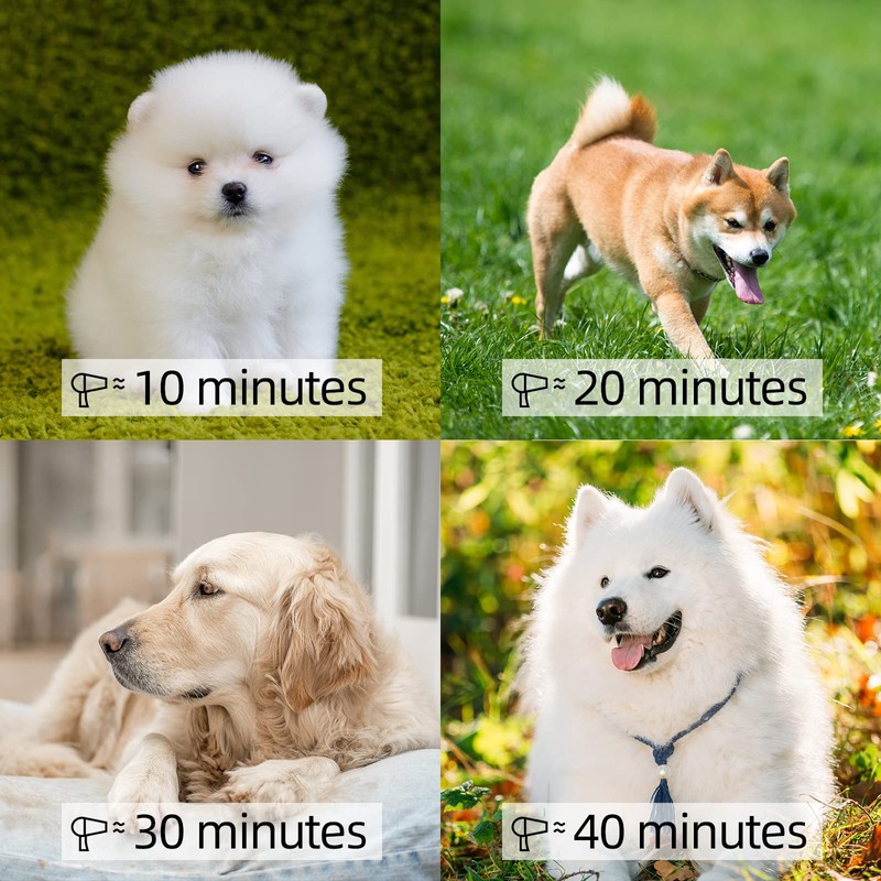 shernbao High Velocity Professional Dog Pet Grooming Hair Drying Force