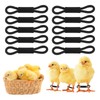 MANOPAWS 100pcs Adjustable Baby Chicken Splay Leg Hobble Braces, Poultry