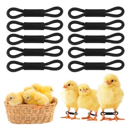 MANOPAWS 100pcs Adjustable Baby Chicken Splay Leg Hobble Braces, Poultry Leg Bands for Spraddle Leg Repair in Newly Hatched Chicks, Quails, Ducks (1-3 Days Old)