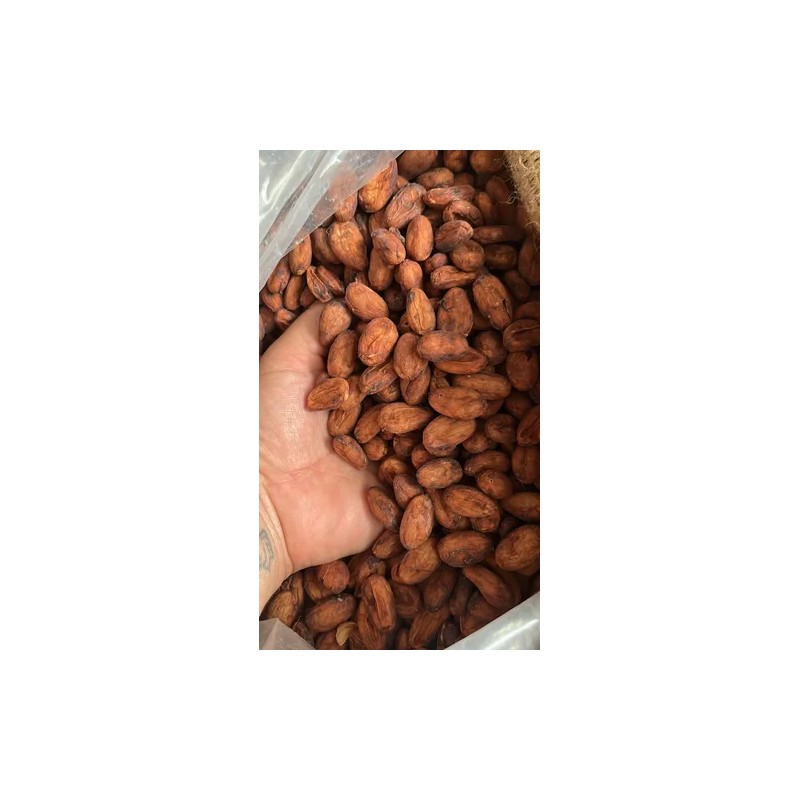 Semilla Grano Cacao Puro, Criollo Crudo 250gr Tabasco