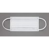Fitty 7DAYS EX Plus Non-Woven Mask, White, Slightly Large, 100