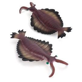 [猫神山] ケファラスピス 古代生物 フィギュア モデル ミニチュア 置物 インテリア コレクター 模型