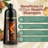 Pzas Shampoo Tinte Cubre Canas Natural Jengibre 500ml