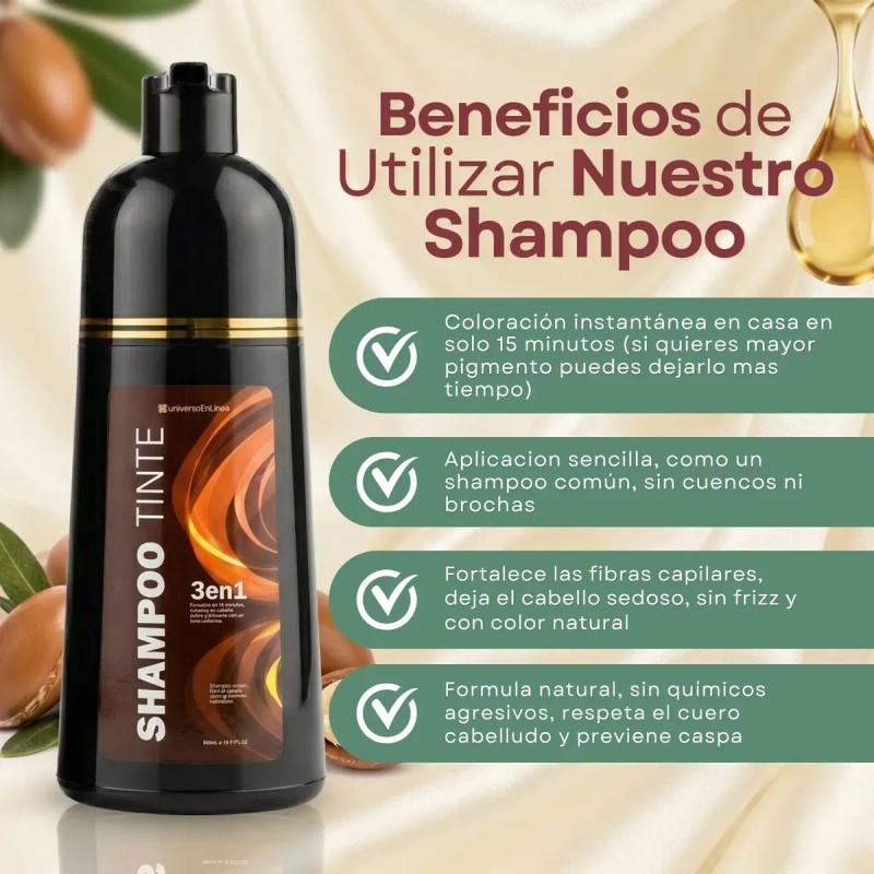 Pzas Shampoo Tinte Cubre Canas Natural Jengibre 500ml