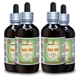 Bai He (Lily Bulb, Bulbus Lilii) Glycerite, Dried Bulb Alcohol-Free Liquid Extract (Brand Name: HerbalTerra, Proudly Made in USA) 4x4 fl.oz (4x120 ml)