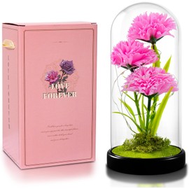 QUELIEN Carnation Flowers Gifts for Mom,Pink Artificial Carnation in Glass Dome with Led Light for Mother's Day,Valentine's Day,Birthday,Christmas (Pink)