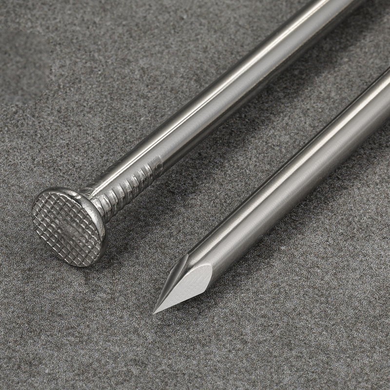 Wensilon (100 pcs)2 inch Stainless Steel 304 Nails, Hanging Nails,