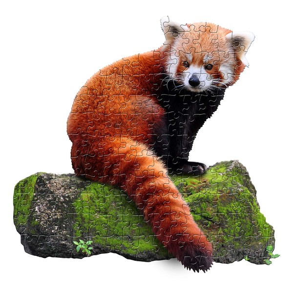Madd Capp Puzzles Jr. - I AM Lil’ Red Panda - 100 Pieces - Animal Shaped Jigsaw Puzzle