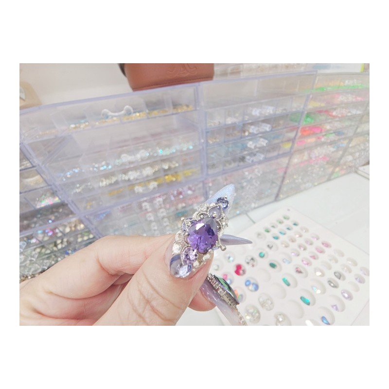  Premium Art Violet Handmade Nail Tips ✨ - Long