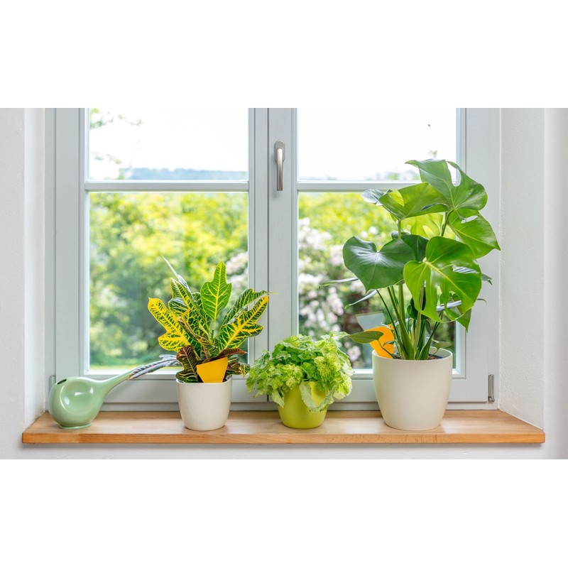 Neudorff Yellow Sticker