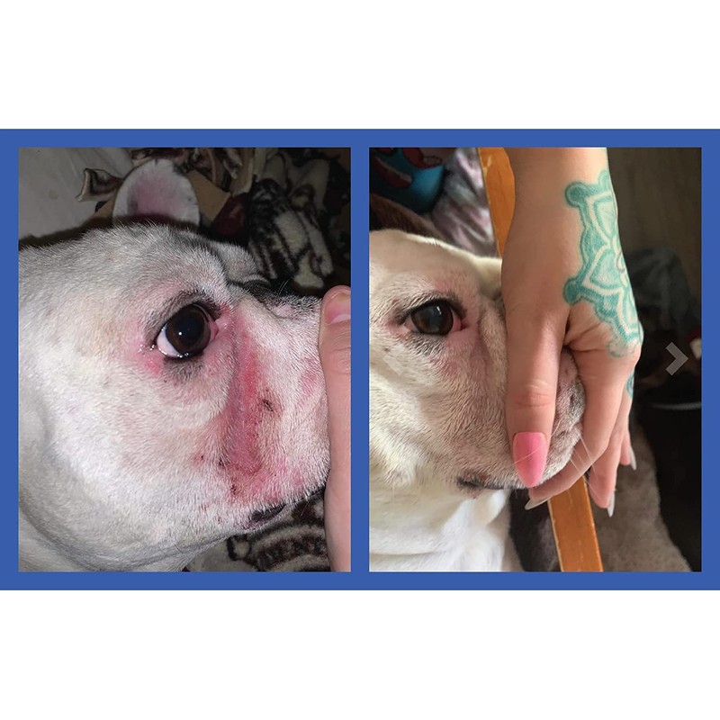 Squishface Flexible Silicone Dog Wrinkle Paste Applicator - Gentle Paste