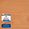 Thompson’s WaterSeal Transparent Waterproofing Wood Stain and Sealer, Sedona Red,