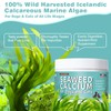 Seaweed Calcium for Dogs, Calcium for Dogs, Cats, Supports Joint,