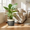 9.8 Inch Planter, Ceramic Planter, Round Pot for Plants, Light