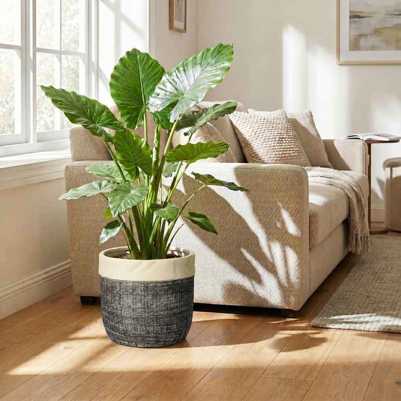 9.8 Inch Planter, Ceramic Planter, Round Pot for Plants, Light