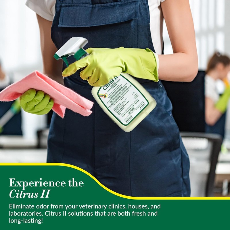 Citrus II Hospital Germicidal Deodorizing Cleaner - Fresh Citrus Scent
