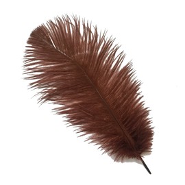Sowder 8-10inch(20-25cm) Ostrich Feathers Plume for Wedding Centerpieces Home Decoration Pack of 10pcs(Brown)