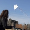 In the Breeze 3325 - Coconut 30 Inch Diamond Kite