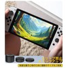 Newzerol【3in1セット】Switch2用アクセサリ ジョイスティックカバー（シリコン製・高/中/低3種×2個）8ゲームカード収納ケース コンパクト収納バッグ スノーフレーク生地 ゲーム操作・データ管理・保管一元化 ブラック