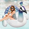 Giant Inflatable Swim Tube for Water Play Pool Toy TD35 175×165×130cm 5ea