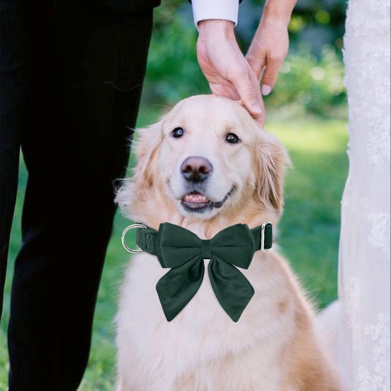 Velvet Dog Collar with Sailor Bow - Puppy Collar with