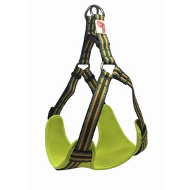 Long Paws Comfort Padded Step-in Dog Harness Reflective, Small, Green