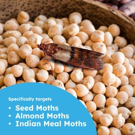 BugMD Pantry Moth Traps (18-Pack) – Pheromone-Based Sticky Glue Traps, Non-Toxic, Kills Indian Meal Moths – Kitchen & Food-Storage Safe - Black