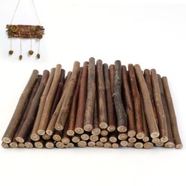 VZXZXE Pack of 50 Wooden Sticks for Crafts 10 cm Wooden Block Sticks for DIY Crafts Wood for Crafts Branches and Branches Decorative Wooden Tree Trunk Wooden Stick for Crafts Wooden Stick Natural