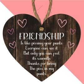 Friendship Is Like Pissing Your Pants Plaque | Funny Friendship Quote | Friendship Plaque | Gift for Best Friends | (Mdf Wood Indoor Use Only 10cm x 9cm, Friendship is like pissing your pants)