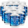 VITAMISAN Beta Bears - The Best Tasting Pump Gummy for