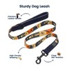 PawView Hundehalsband & Leine Set mit Smart ID Tag –