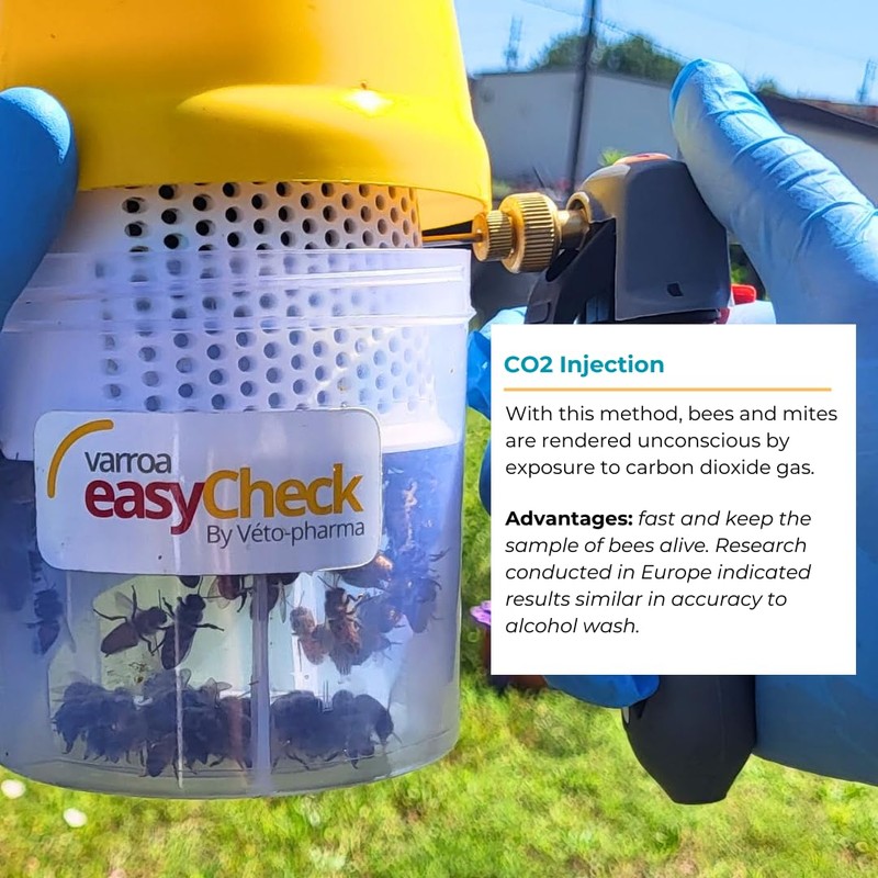 Foxhound Bee Company Varroa Easy Check Mite Tester - The
